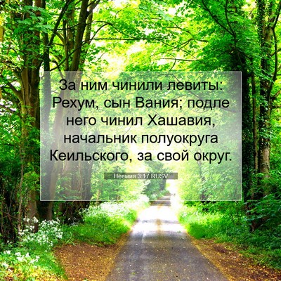 Picture 07 - Неемия 3:17 RUSV - За ним чинили левиты: - Bible Verse Picture