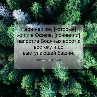 Picture 07 - Неемия 3:26 RUSV - Нефинеи же, [которые] жили в - Bible Verse Picture