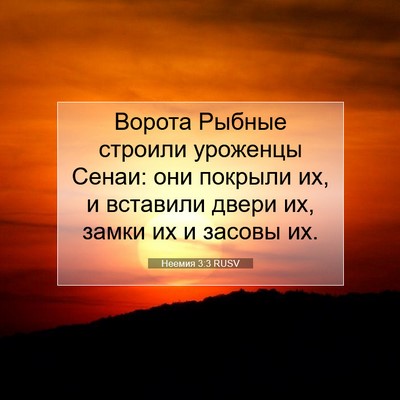 Picture 07 - Неемия 3:3 RUSV - Ворота Рыбные строили - Bible Verse Picture