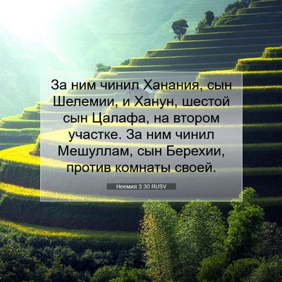 Picture 07 - Неемия 3:30 RUSV - За ним чинил Ханания, сын - Bible Verse Picture