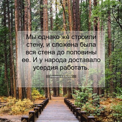 Picture 07 - Неемия 4:6 RUSV - Мы однако же строили стену, - Bible Verse Picture