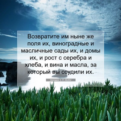Picture 07 - Неемия 5:11 RUSV - Возвратите им ныне же поля - Bible Verse Picture
