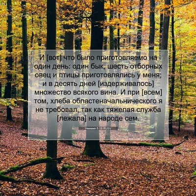 Picture 07 - Неемия 5:18 RUSV - И [вот] что было - Bible Verse Picture