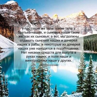 Picture 07 - Неемия 5:5 RUSV - у нас такие же тела, какие - Bible Verse Picture