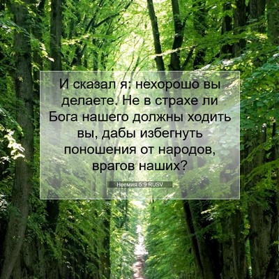 Picture 07 - Неемия 5:9 RUSV - И сказал я: нехорошо вы - Bible Verse Picture