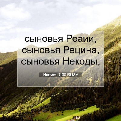 Picture 07 - Неемия 7:50 RUSV - сыновья Реаии, сыновья - Bible Verse Picture