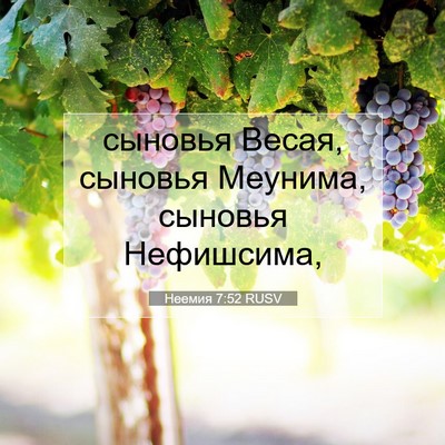Picture 07 - Неемия 7:52 RUSV - сыновья Весая, сыновья - Bible Verse Picture