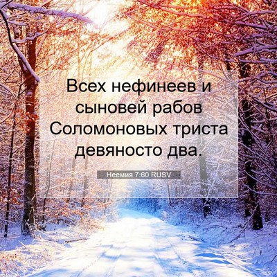 Picture 07 - Неемия 7:60 RUSV - Всех нефинеев и сыновей - Bible Verse Picture