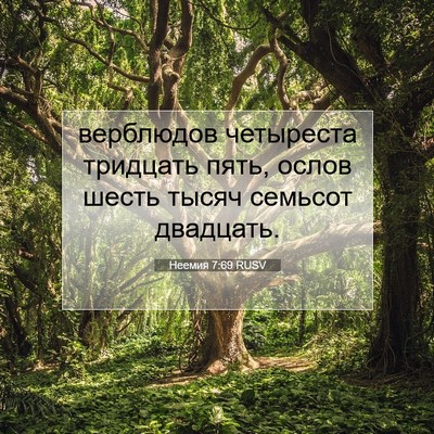 Picture 07 - Неемия 7:69 RUSV - верблюдов четыреста - Bible Verse Picture