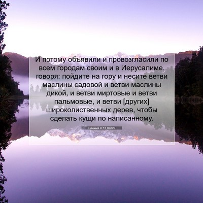 Picture 07 - Неемия 8:15 RUSV - И потому объявили и - Bible Verse Picture