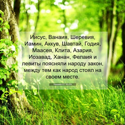 Picture 07 - Неемия 8:7 RUSV - Иисус, Ванаия, Шеревия, - Bible Verse Picture