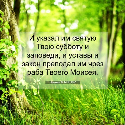 Picture 07 - Неемия 9:14 RUSV - И указал им святую Твою - Bible Verse Picture