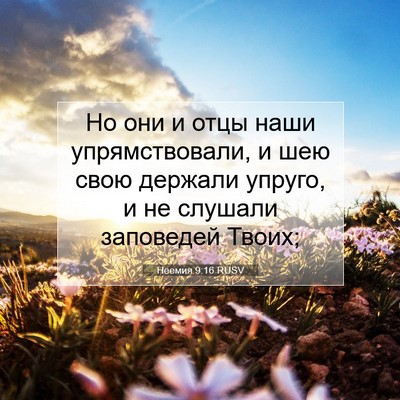 Picture 07 - Неемия 9:16 RUSV - Но они и отцы наши - Bible Verse Picture