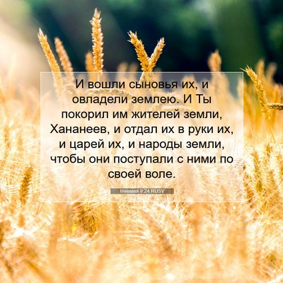 Picture 07 - Неемия 9:24 RUSV - И вошли сыновья их, и - Bible Verse Picture