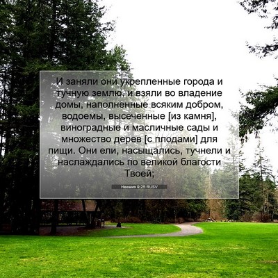 Picture 07 - Неемия 9:25 RUSV - И заняли они укрепленные - Bible Verse Picture