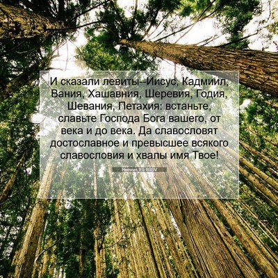 Picture 07 - Неемия 9:5 RUSV - И сказали левиты--Иисус, - Bible Verse Picture