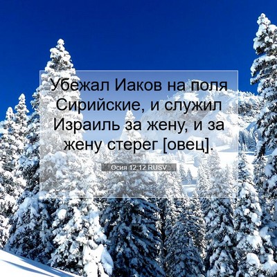 Picture 07 - Осия 12:12 RUSV - Убежал Иаков на поля - Bible Verse Picture