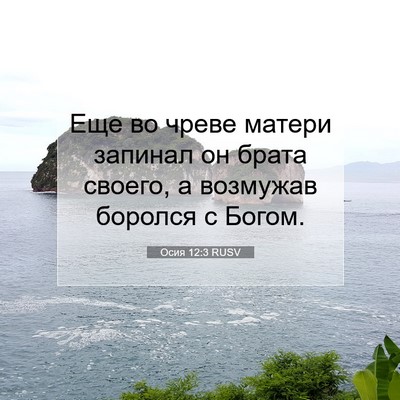 Picture 07 - Осия 12:3 RUSV - Еще во чреве матери - Bible Verse Picture