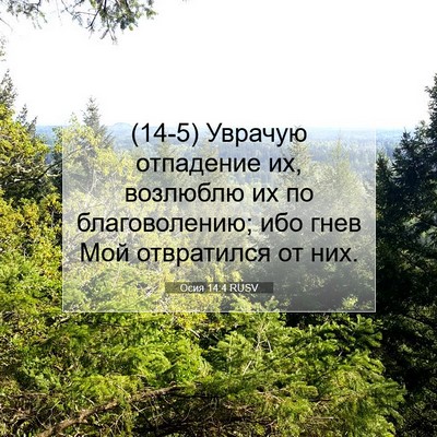 Picture 07 - Осия 14:4 RUSV - (14-5) Уврачую отпадение их, - Bible Verse Picture