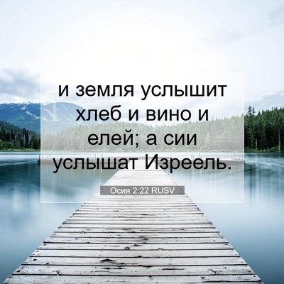 Picture 07 - Осия 2:22 RUSV - и земля услышит хлеб и вино - Bible Verse Picture