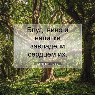 Picture 07 - Осия 4:11 RUSV - Блуд, вино и напитки - Bible Verse Picture