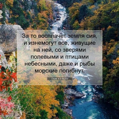 Picture 07 - Осия 4:3 RUSV - За то восплачет земля сия, - Bible Verse Picture