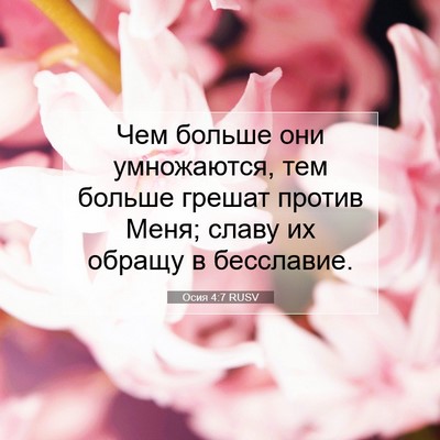 Picture 07 - Осия 4:7 RUSV - Чем больше они умножаются, - Bible Verse Picture