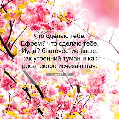 Picture 07 - Осия 6:4 RUSV - Что сделаю тебе, Ефрем? что - Bible Verse Picture
