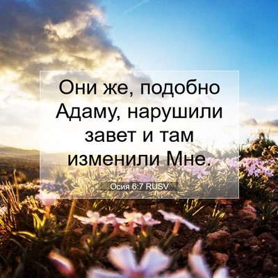 Picture 07 - Осия 6:7 RUSV - Они же, подобно Адаму, - Bible Verse Picture