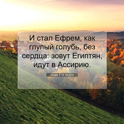Picture 07 - Осия 7:11 RUSV - И стал Ефрем, как глупый - Bible Verse Picture