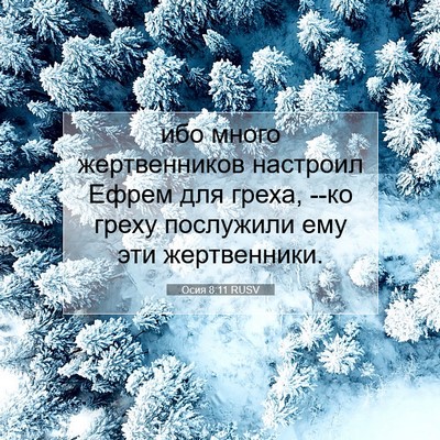 Picture 07 - Осия 8:11 RUSV - ибо много жертвенников - Bible Verse Picture
