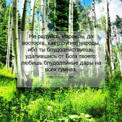 Picture 07 - Осия 9:1 RUSV - Не радуйся, Израиль, до - Bible Verse Picture