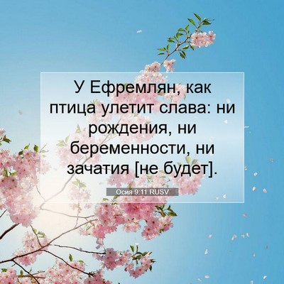 Picture 07 - Осия 9:11 RUSV - У Ефремлян, как птица - Bible Verse Picture