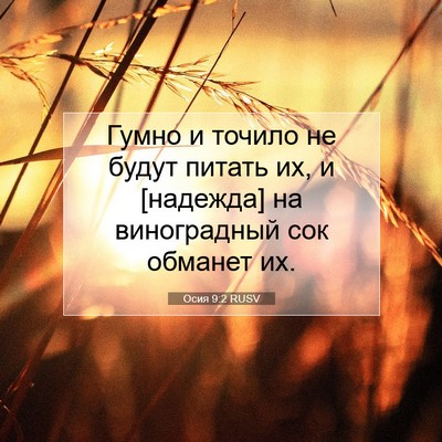 Picture 07 - Осия 9:2 RUSV - Гумно и точило не будут - Bible Verse Picture