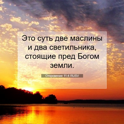 Picture 07 - Откровение 11:4 RUSV - Это суть две маслины и два - Bible Verse Picture