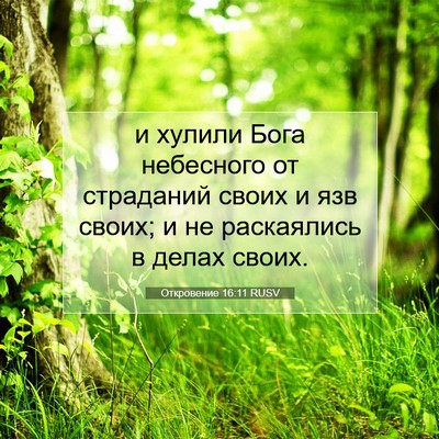 Picture 07 - Откровение 16:11 RUSV - и хулили Бога небесного от - Bible Verse Picture