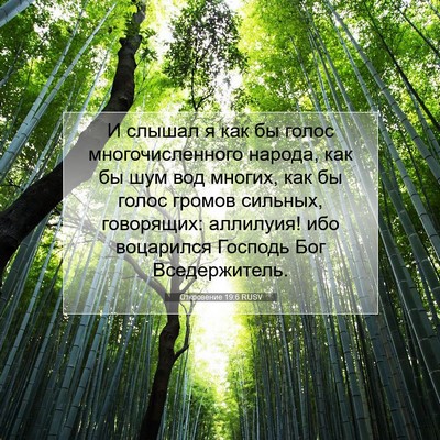 Picture 07 - Откровение 19:6 RUSV - И слышал я как бы голос - Bible Verse Picture