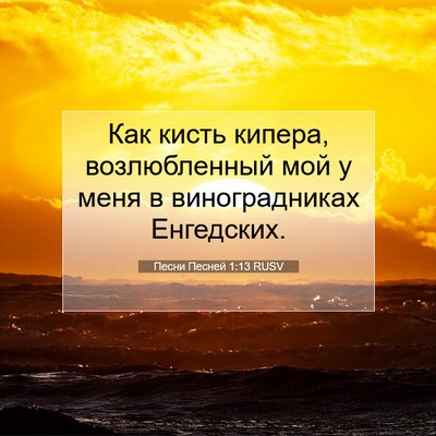 Picture 07 - Песни Песней 1:13 RUSV - Как кисть кипера, - Bible Verse Picture