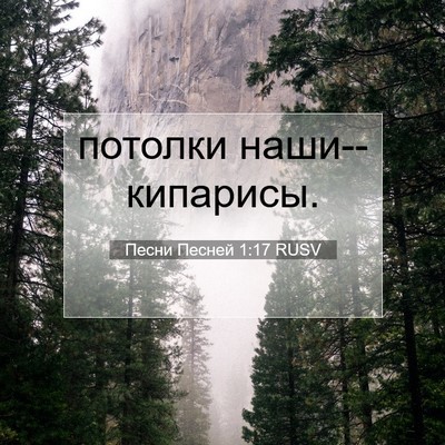 Picture 07 - Песни Песней 1:17 RUSV - потолки - Bible Verse Picture