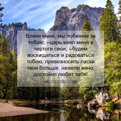 Picture 07 - Песни Песней 1:3 RUSV - Влеки меня, мы побежим за - Bible Verse Picture
