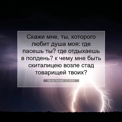 Picture 07 - Песни Песней 1:6 RUSV - Скажи мне, ты, которого - Bible Verse Picture