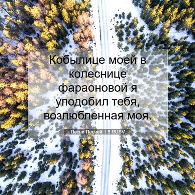 Picture 07 - Песни Песней 1:8 RUSV - Кобылице моей в колеснице - Bible Verse Picture