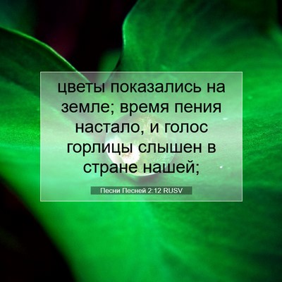 Picture 07 - Песни Песней 2:12 RUSV - цветы показались на земле; - Bible Verse Picture