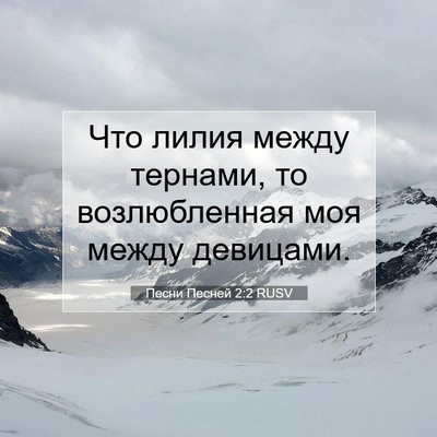 Picture 07 - Песни Песней 2:2 RUSV - Что лилия между тернами, то - Bible Verse Picture