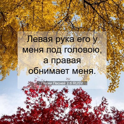 Picture 07 - Песни Песней 2:6 RUSV - Левая рука его у меня под - Bible Verse Picture
