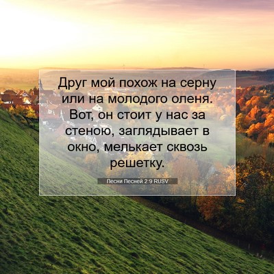 Picture 07 - Песни Песней 2:9 RUSV - Друг мой похож на серну или - Bible Verse Picture