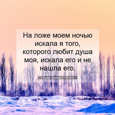 Picture 07 - Песни Песней 3:1 RUSV - На ложе моем ночью искала я - Bible Verse Picture