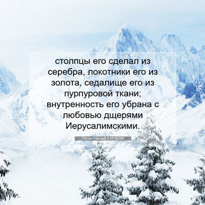 Picture 07 - Песни Песней 3:10 RUSV - столпцы его сделал из - Bible Verse Picture