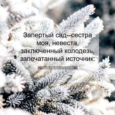 Picture 07 - Песни Песней 4:12 RUSV - Запертый сад--сестра моя, - Bible Verse Picture