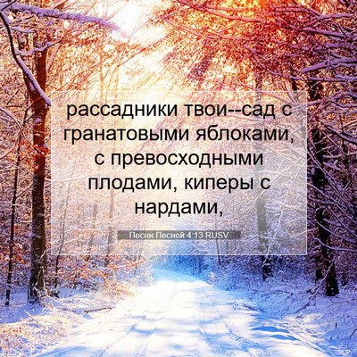 Picture 07 - Песни Песней 4:13 RUSV - рассадники твои--сад с - Bible Verse Picture